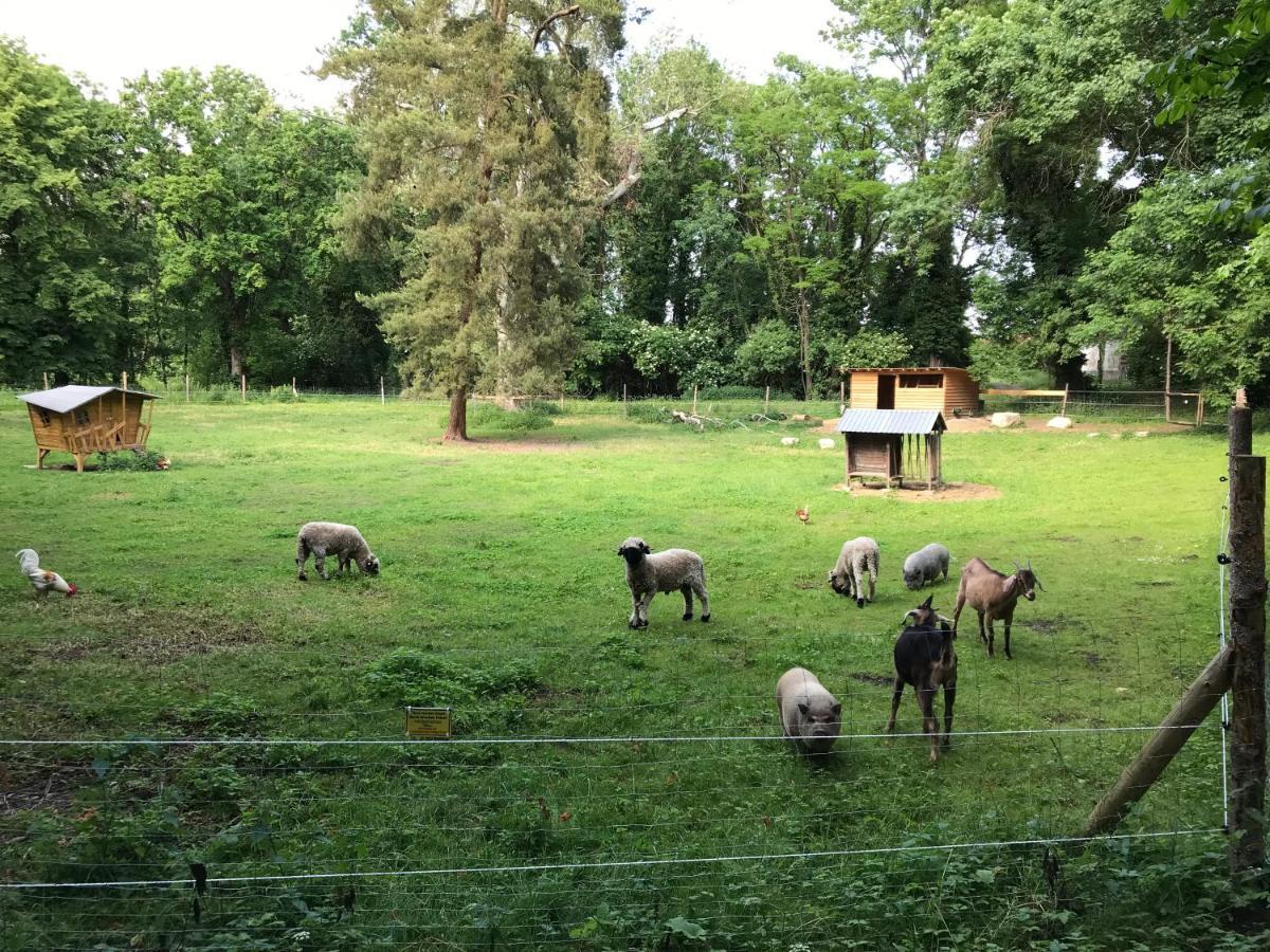 Ferienwohnung Schloss Schrattenthal Eksteriør bilde